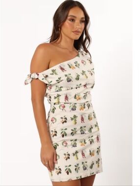 Petal & Pup White Mini Dress with Multicolor Botanical Print